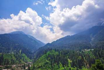 Fototapeta na wymiar Lush green fields of nature in the mountains of Kheerganga, Himachal Pradesh.