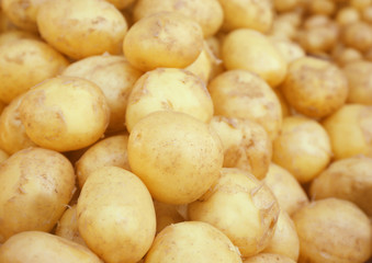Pile of new potatoes, close up