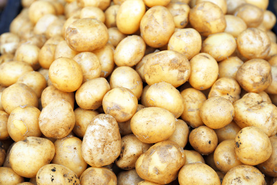 Pile of new potatoes, close up