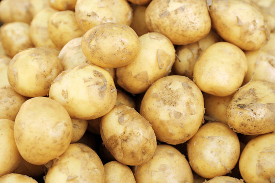 Pile of new potatoes, close up