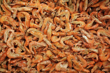 Fresh shrimps, close up