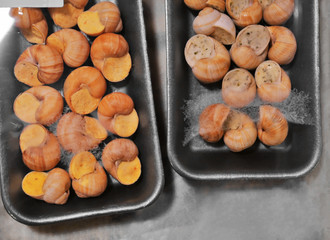 Snails in packing on counter