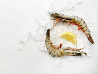 Fresh shrimps with lemon and ice on white background
