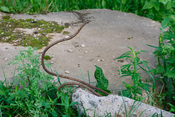 Pieces of metal and stone are crumbling from demolished building on green grass background