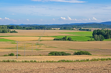 Uprawa zboża.