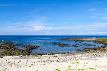 Coast landscape