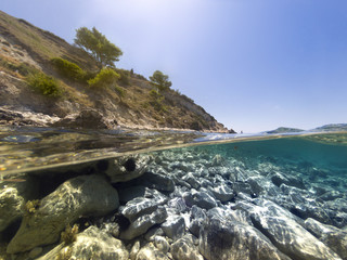 Half underwater in the sea. © ardasavasciogullari