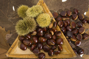 Chestnuts just picked up.