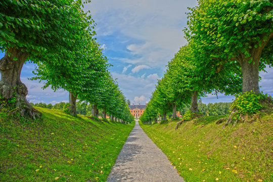 Weg mit Lindenb&auml;umen zum Schloss Bothmer