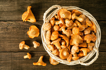 Raw wild mushrooms chanterelle in basket on rustic wooden table