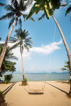 swing under the palmы tree on the sand beach near to the sea.
