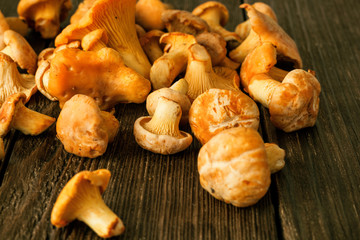 Raw wild mushrooms chanterelle on rustic wooden table