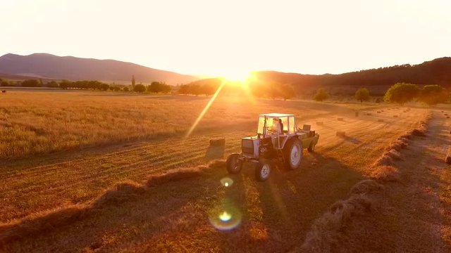Aerial: Haymaking. Tractor collecting hay and making haystacks. Beautiful Agricultural Footage On the Field During Amazing Golden Sunset. HD Slowmotion. Russia.