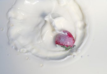 one strawberry splashing into creamy yogurt