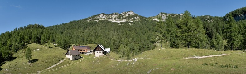 Fototapeta na wymiar planina Lipance below of summit of Lipanjski vrh in Triglav national park in Julian Alps in Slovenia