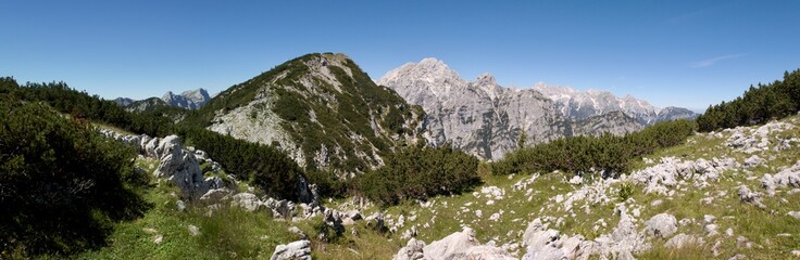 Fototapeta na wymiar summit of Rjavina from hillside of Debela pec mountain in Triglav national park in Julian Alps in Slovenia