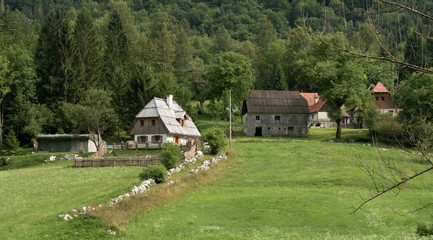 Fototapeta na wymiar old houses in the Bavsica valley in Triglav national park in Julian Alps in Slovenia