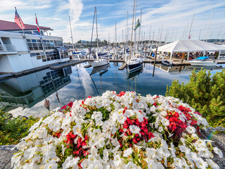 Red and white flowers decorate the seaside walk in Sidney, Vancouver Island, British Columbia to...
