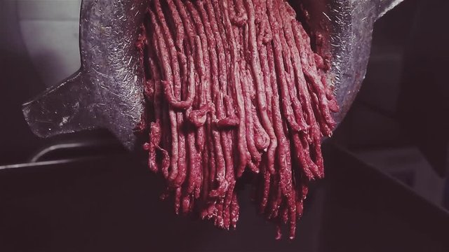 Industrial meat grinder. The process of grinding and processing meat in minced meat. Minced red jelly streams, tubules climbs out of the meat grinder and fall into the metal large dishes.