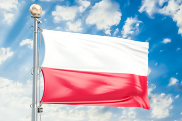Fototapeta na wymiar Polish flag waving in blue cloudy sky, 3D rendering