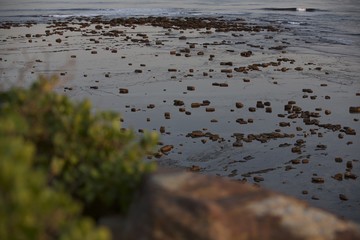 Long Reef on the northern beaches of Sydney in Australia