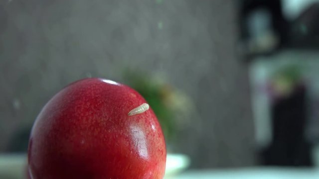 worm in crawl cherry