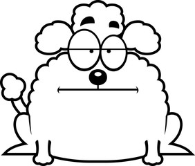 Calm Little Poodle