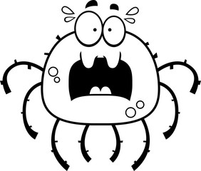 Scared Little Spider