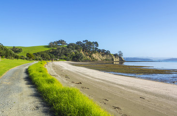 Scandrett Beach Auckland New Zealand