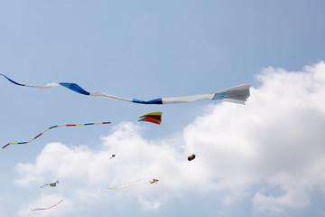 Large Colorful Kites