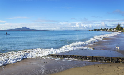 Milford Beach Auckland New Zealand; View to Rangitoto Island