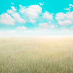 Fototapeta na wymiar Vintage view of green meadow and sky