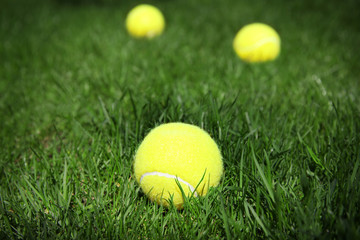 Tennis balls on fresh green grass outdoors