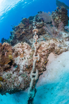 An anchor chain from a cruise ship carelessly dropped causing damage to an otherwise healthy tropical coral reef. Careless dropping of anchor is a serious threat to shallow water reef around the world