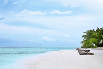 View of beautiful tropical beach on summer day