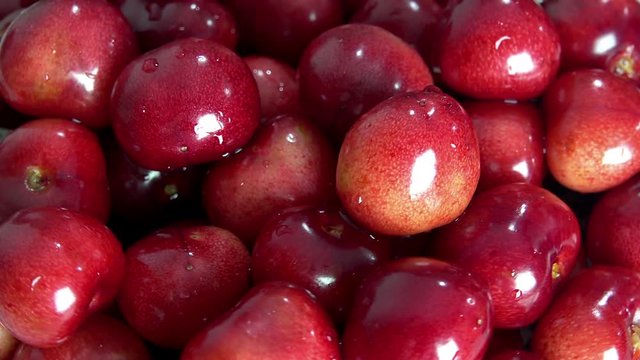 Sweet cherry rotating background