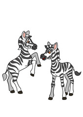 Cartoon animals. Two little cute baby zebras.