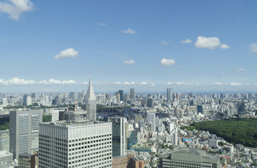 Fototapeta premium 東京風景 7月