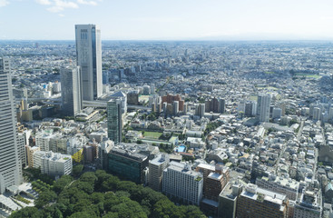 Fototapeta na wymiar 東京風景　　地平線