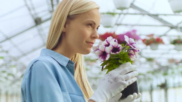 Beautiful Female Gardner Smells Flowers in a Pot
