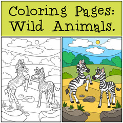 Coloring Pages: Wild Animals. Two little cute zebras.