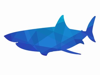 illustration of shark, vector draw