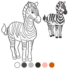 Color me: zebra. Cute beautiful zebra smiles. © ya_mayka