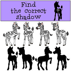 Educational game: Find the correct shadow. Little cute zebra.