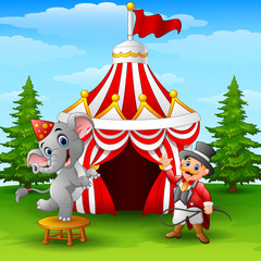 Obraz premium Circus elephant and tamer on the circus tent background
