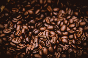 arabica brown rosted coffee beans
