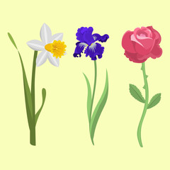 Beautiful spring flower botanical bloom watercolor painting summer branch petal decoration bouquet nature design vector illustration