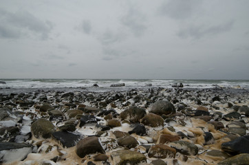Rocky Coast