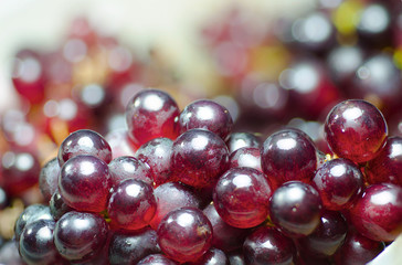 Bunch of grapes