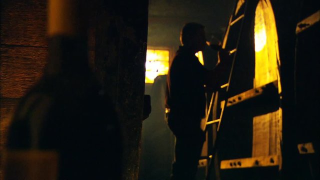 Abstract background footage of vigneron winemaker rolling vintage red or white wine barrel in old winery cellar featuring rows of oak barrels after harvest. Scenes from australian tourism in Barossa V